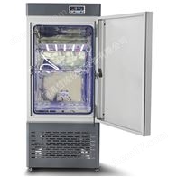 微生物霉菌培养箱MJ-800恒温800升实验箱