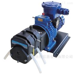 FG600S-W3防爆电机型蠕动泵